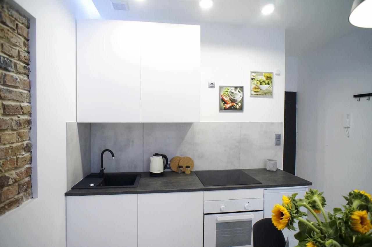 Modern Apartment In The City Center Katowice Ngoại thất bức ảnh